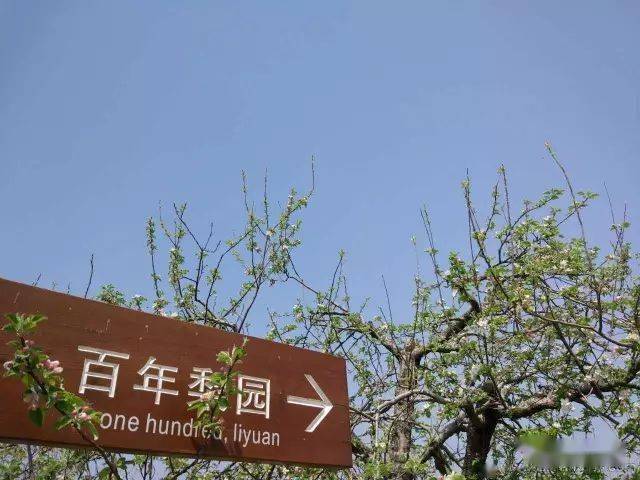 泗阳县多少人口_泗阳县新袁医院张亚龙(2)