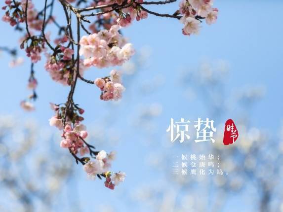 今日惊蛰 乍暖还寒时节气温多起伏 春捂 这件事不能马虎 王潇翎