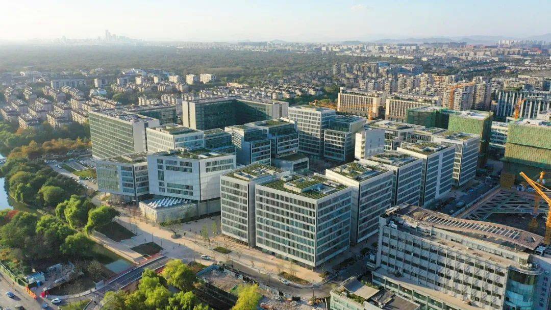 杭州有多少本地人口_杭州每年人口增长(2)