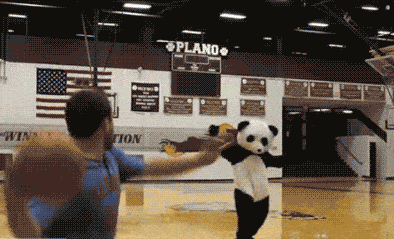 烂熟瓜猜一个成语_猜瓜成语图片(2)