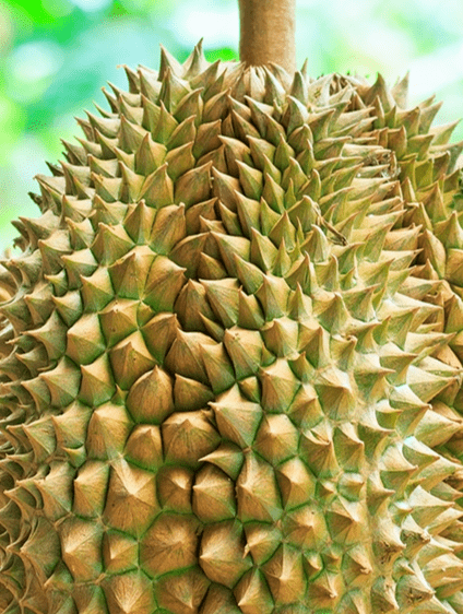 f49ae5724f4647e68db61e9a468130cb.png