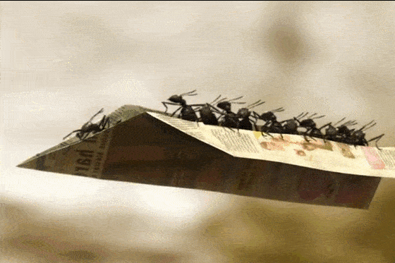 560_373gif 动态图 动图