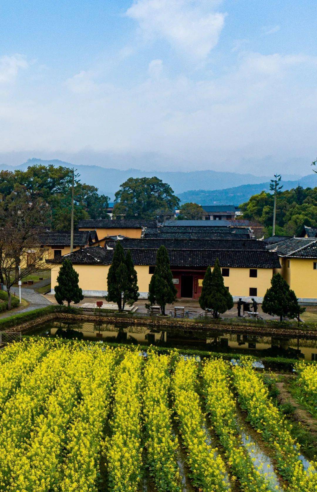 所有人瑞金红井景区油菜花已盛开你准备好共赴一场花海盛宴了吗