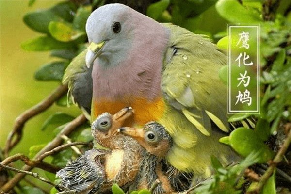 e9c99a4bfe0840c48c96d3aefcc5687b.png