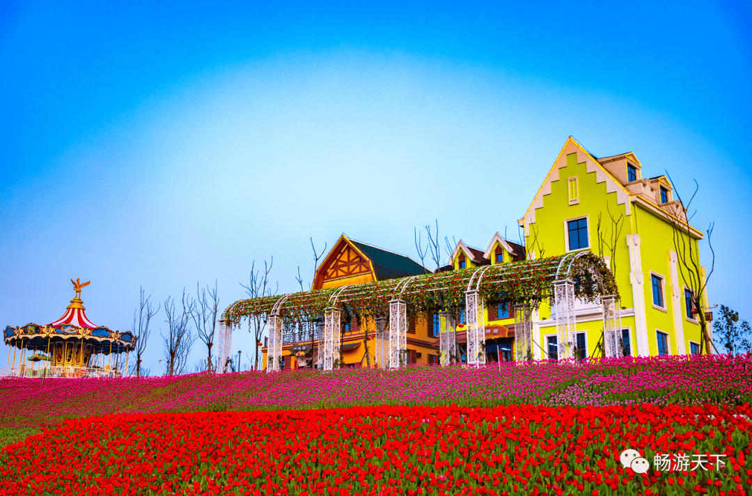 【3月10/14日】萍乡凯光新天地郁金香文化节 傩神洞138元/人_花海