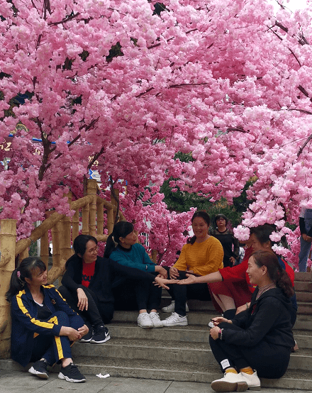 出游丨女神节前夕 兴业鹿峰山·龙泉洞景区迎来游客高峰!