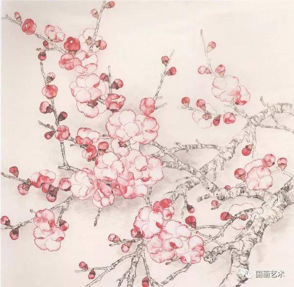 图文教程杏花的画法解析