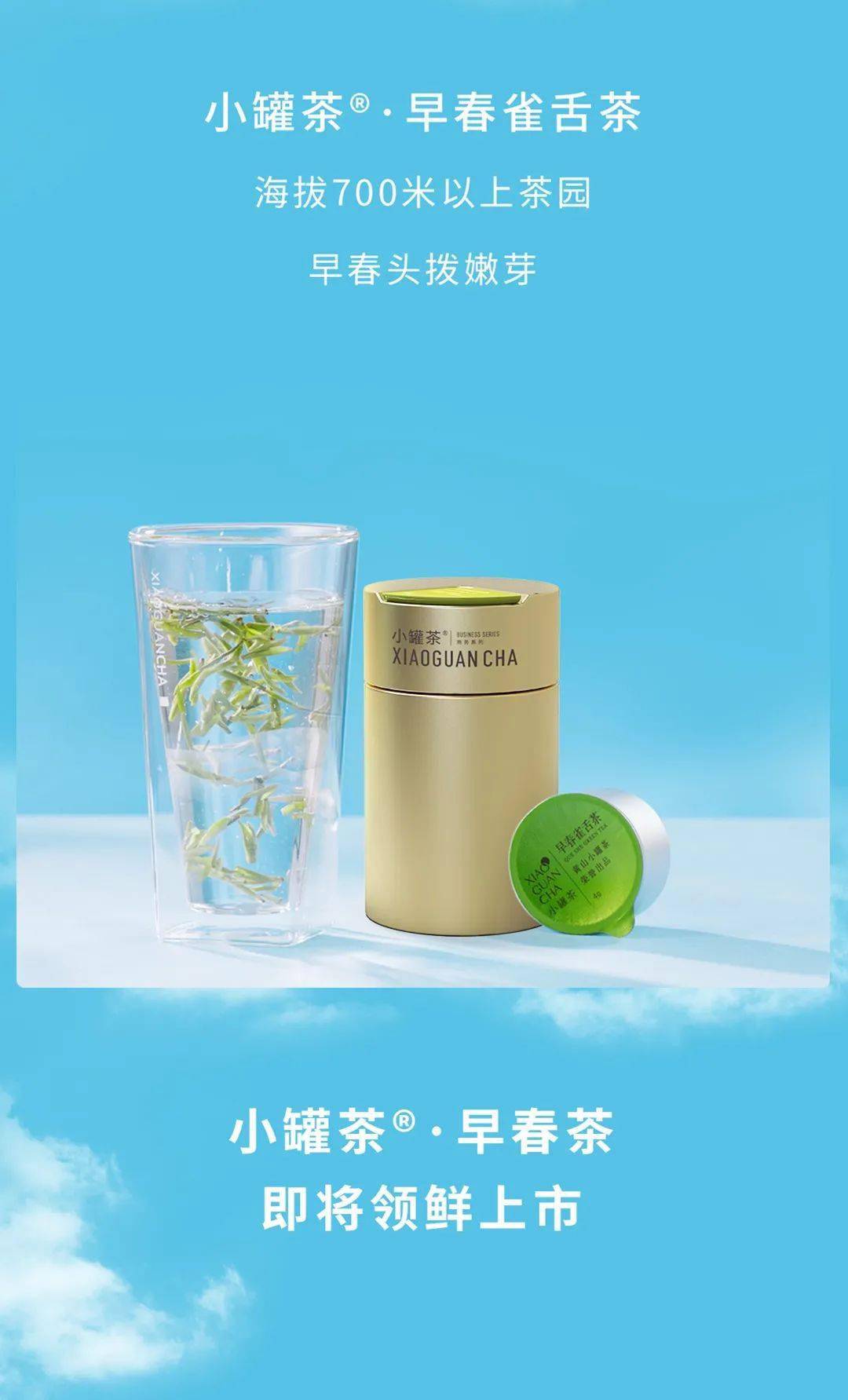 小罐茶早春茶-领"鲜"上市