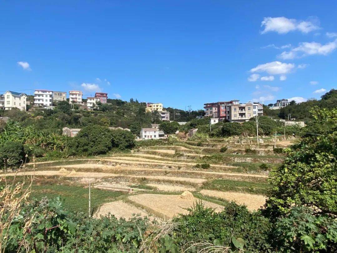 庆三八特辑太暖了上迳镇组织开展巾帼心向党奋斗新征程女神节系列活动