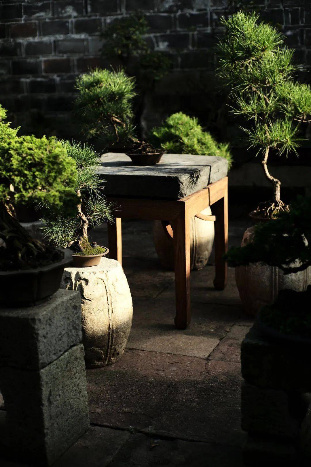 去做自己认为对的事情,然后接受它的事与愿违_小院