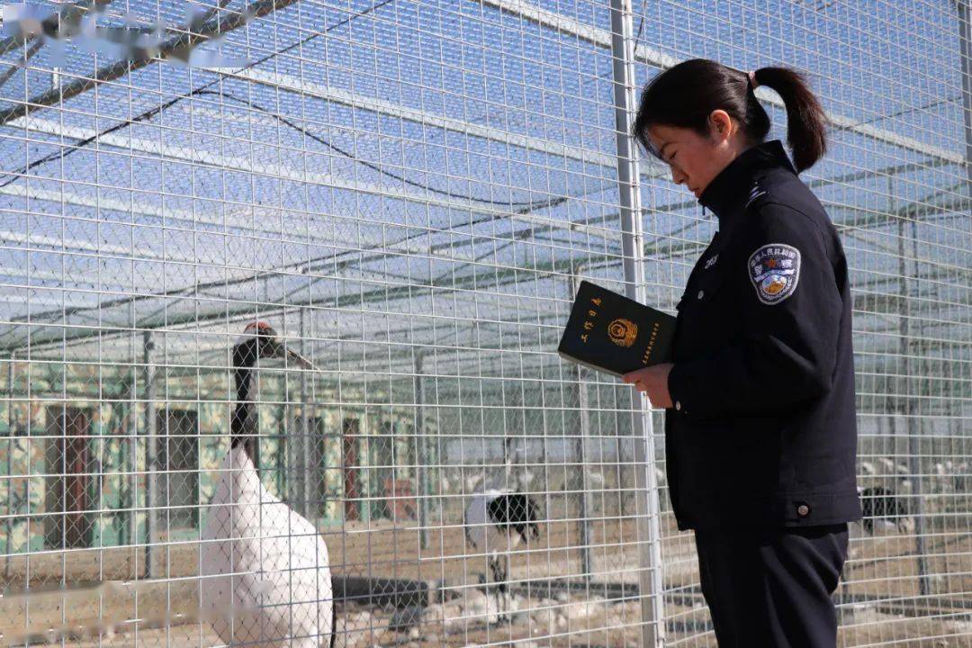致敬了不起的她吉林森林公安女警飒