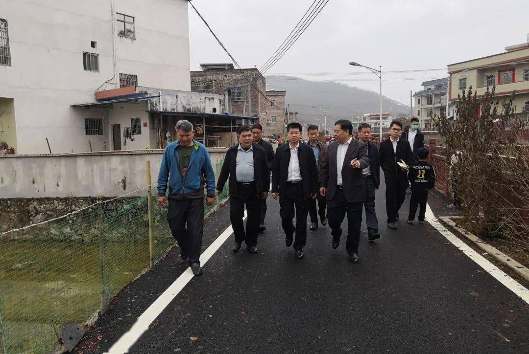 龙川县委书记黄海生要求以绣花功夫抓好乡村精细化管理全面提升城乡