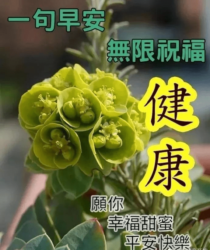 珍惜眼前人,做好眼前事,不要想太多,早安_生活