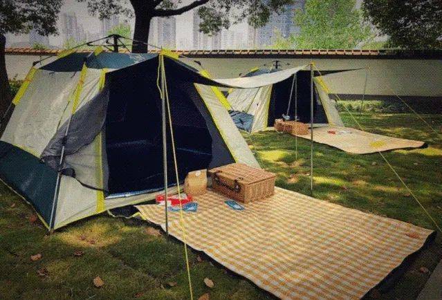 租吸氧机怎么收费¥699起睡云端凯悦酒店，打卡上海最美图书馆&网红剧院！_https://www.jmylbn.com_新闻资讯_第9张