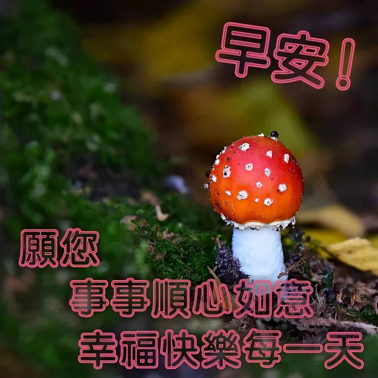 原創早上好新的一天祝事事順心如意願你開心快樂