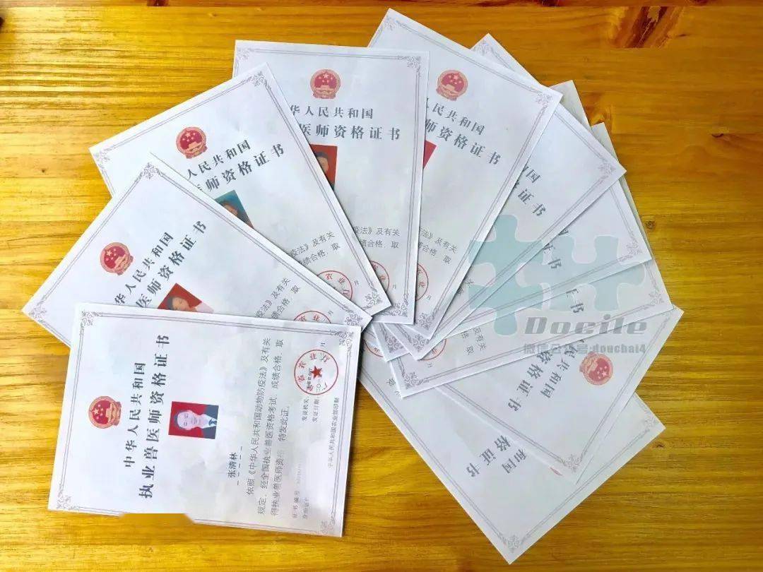 狗狗被救活了，這位主治醫師卻把飯碗丟了...... 萌趣萌寵 第11张
