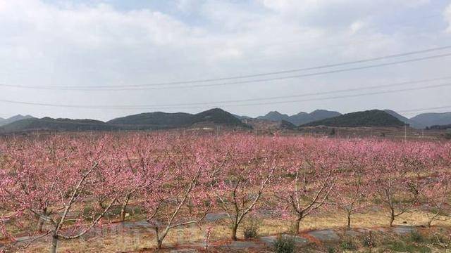 砚山县有多少人口_2018年云南文山州砚山县第一中学高考报名公告