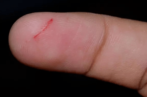 手是几划 8a172f31b30040aaae03c1a8b610438b.png