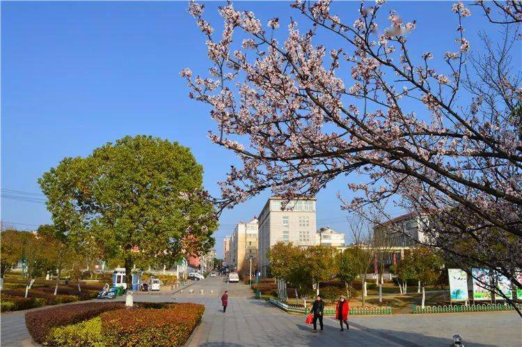 扩建后的玉龙公园里,一片生机盎然_清岸绿