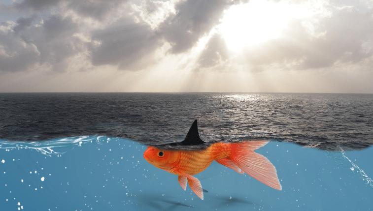 传叮咚买菜上市：生鲜电商已成红海 烧钱不息盈