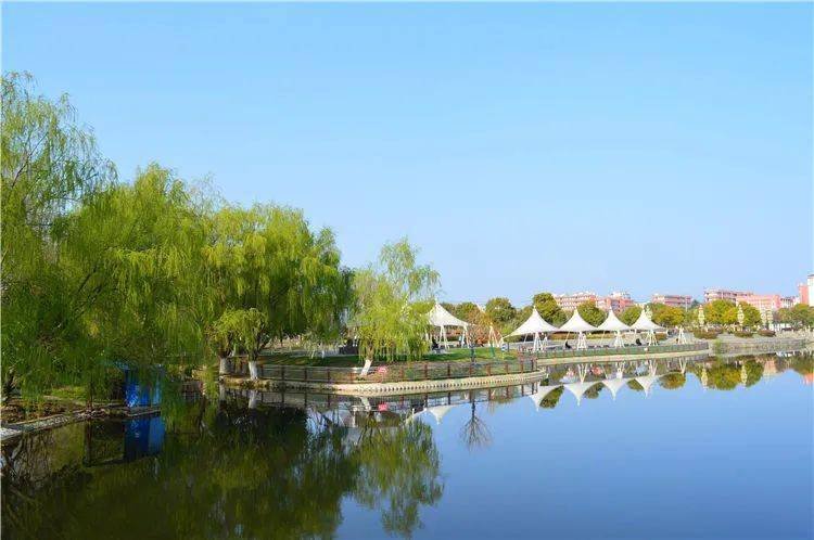 扩建后的玉龙公园里,一片生机盎然_清岸绿