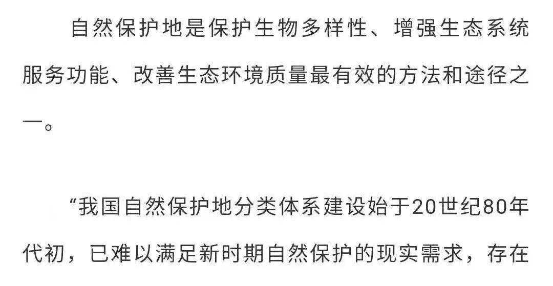 春到人间万物苏,热成迎接嘉宾临指代表最佳什么生肖谜团精选释义解释