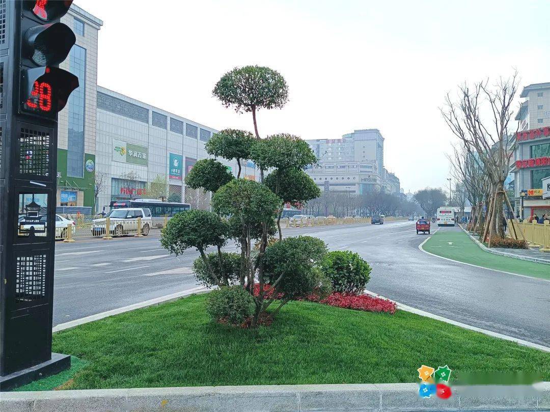 在春风里邂逅新城区绿色惬意生活