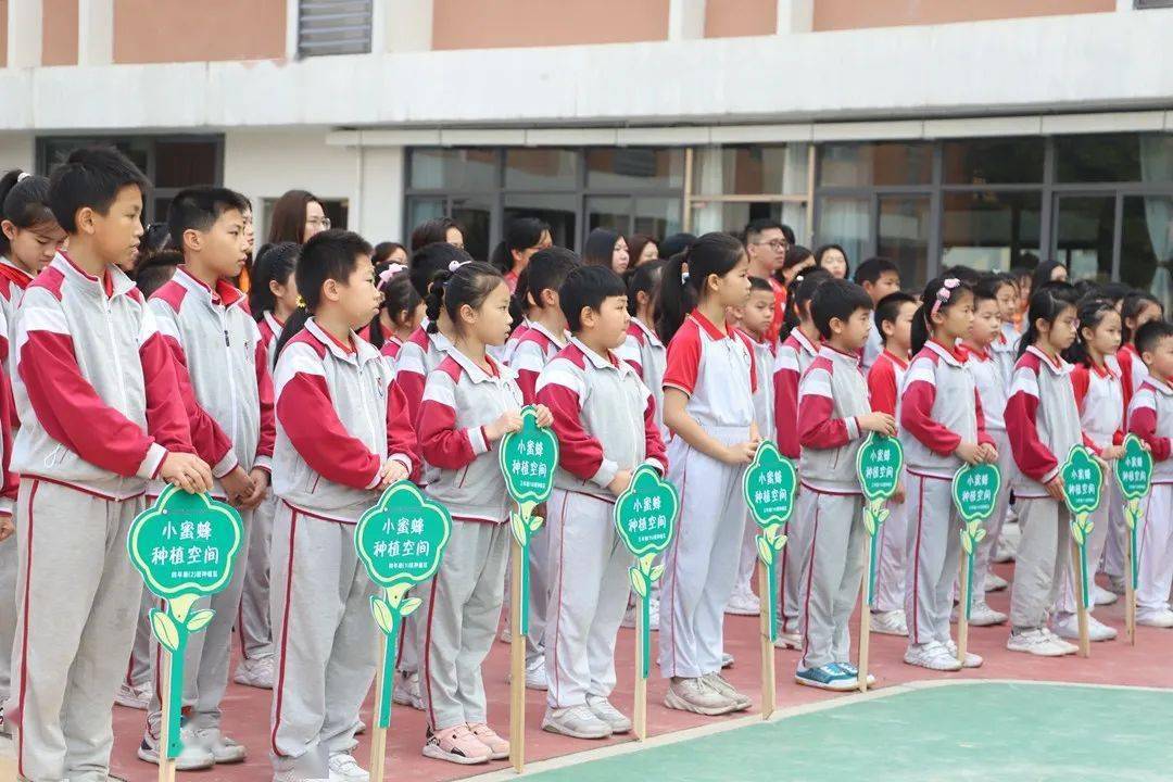 博凯小学入学要求图片