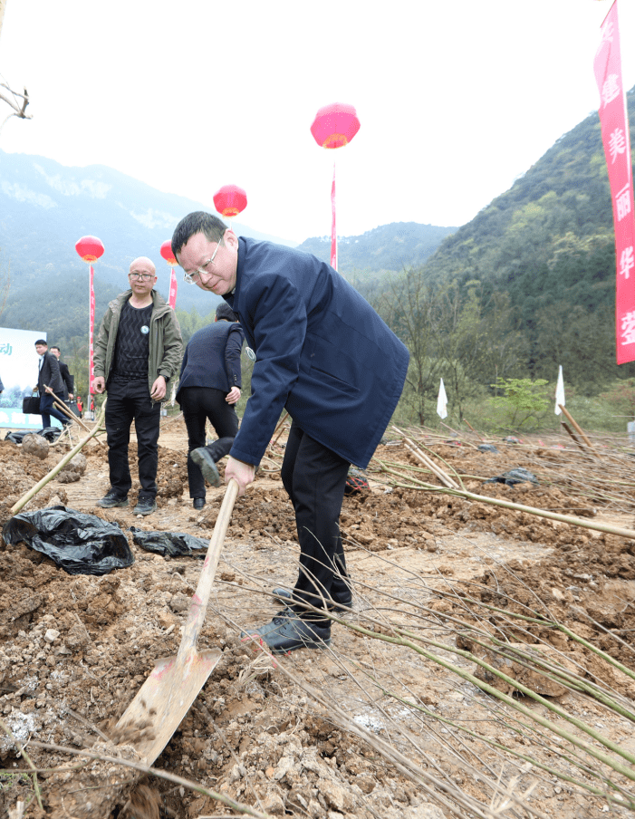 华蓥市全面启动我为华蓥山植棵树活动