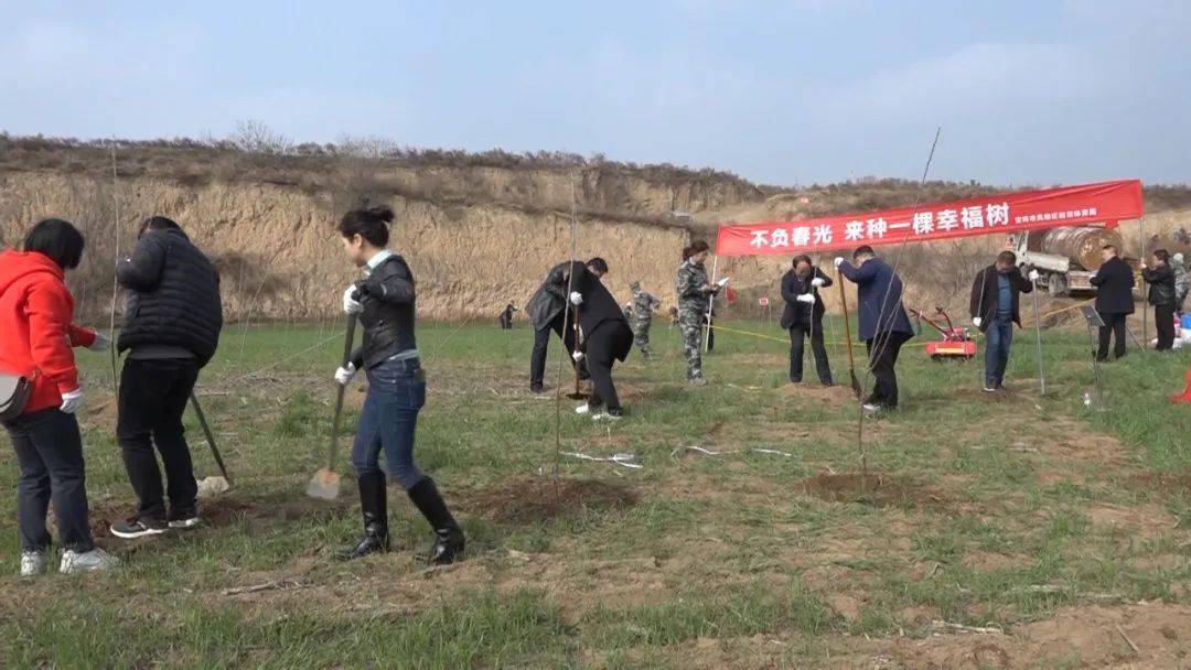 當天,橫水鎮組織機關全體幹部在橫陽路開展義務植樹活動,共栽植櫻花