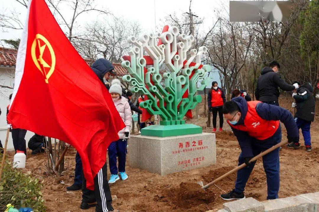 青春树我为泉城争口气