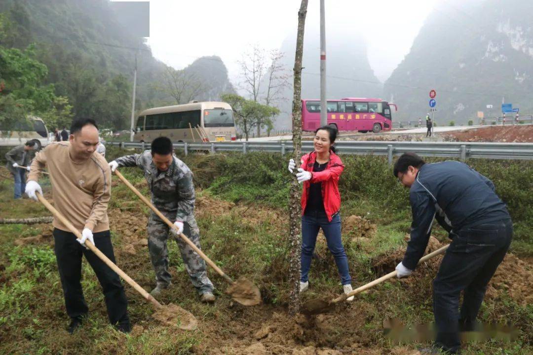 當天上午,在逐卜鄉板要村隴沙屯路口植樹活動現場呈現一派熱火朝天的