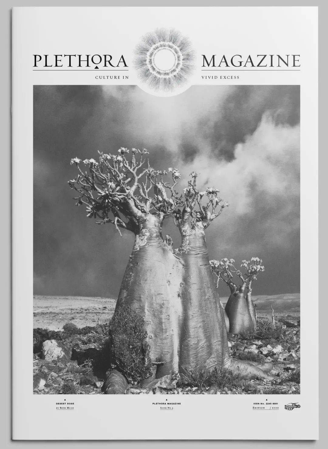 plethoramagazine手工承载下生动耀眼的人类文明