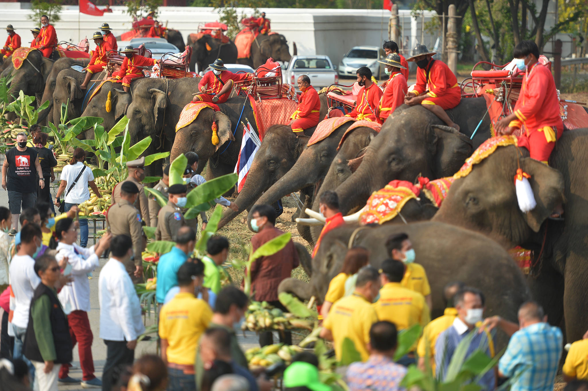 泰国庆祝大象日