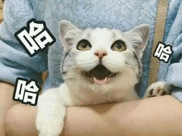 单杠排行_全锦赛男子单杠林超攀掉杠失名次