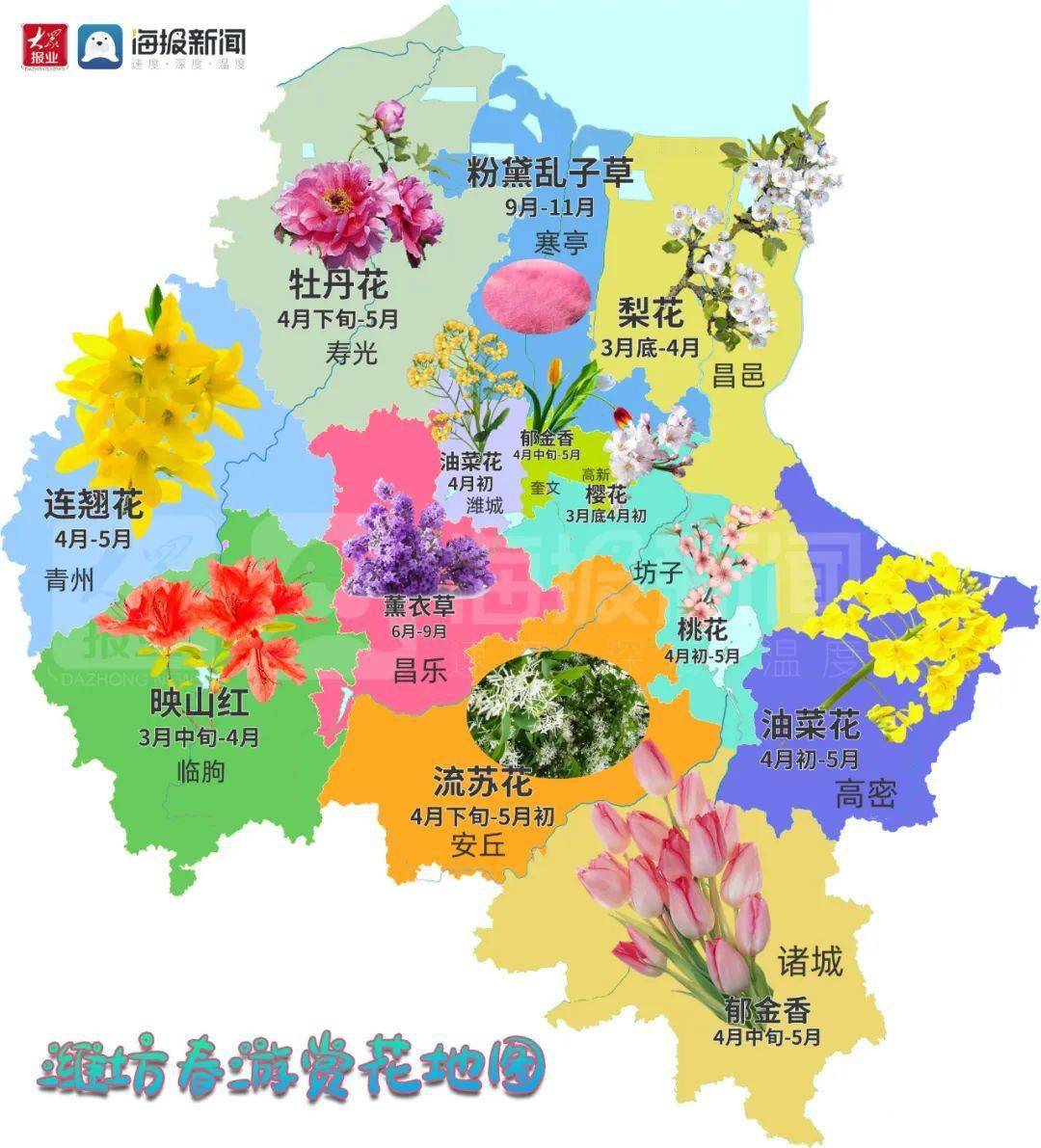 潍坊最新赏花地图出炉!28个地点随手一拍都能惊艳朋友圈