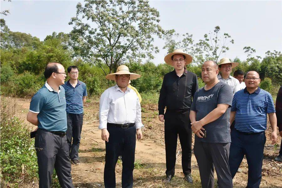 区领导:周善琨,冯光浩,陈国俊,杨振晔,黄荣花,区