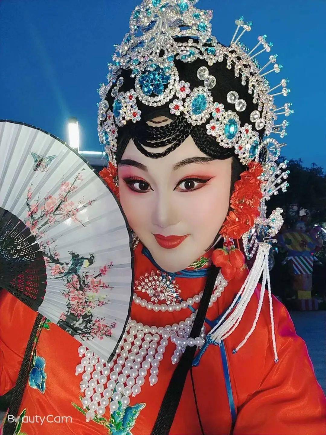 省商丘市文化艺术学校戏曲表演系,2008年成立了平邑县青年文艺豫剧团