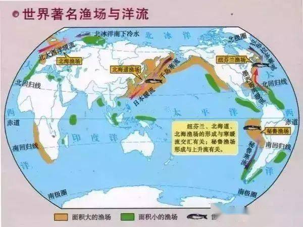 【专题整理】表层洋流、上升流、深部洋流都是什么?高中地理洋流知识最全整理,赶快收藏打印吧!_寒流
