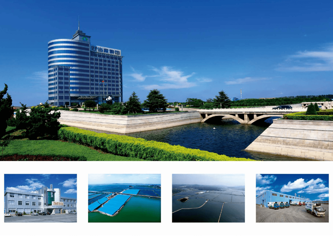 博士后招募行动好当家集团有限公司招聘简章