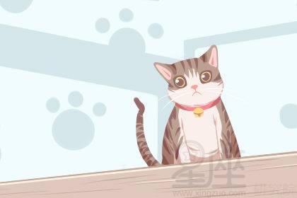 梦境解析，我梦见被老鼠咬手指的深层含义