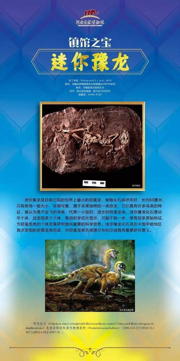 入选镇馆之宝巨形汝阳龙汝阳黄河巨龙