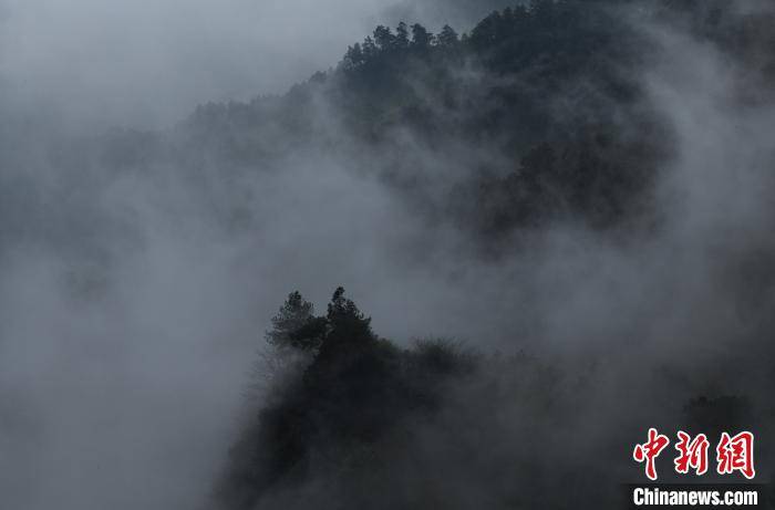 重庆黑山谷雨雾缭绕宛如仙境