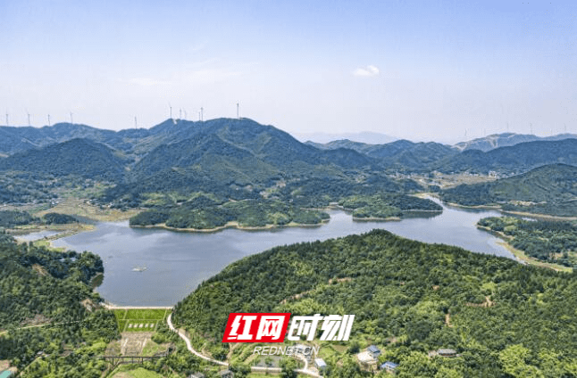 雷州市乌石镇那毛寸人口_雷州市乌石镇图片