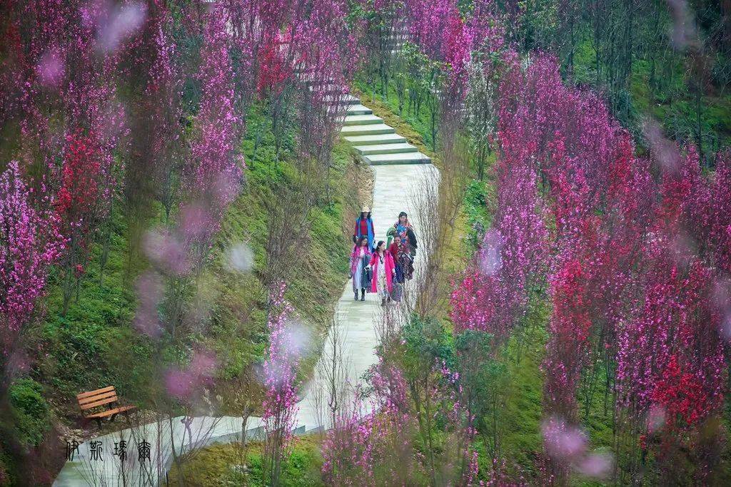 虹口花谷门票免费送,一起去龙池妖艳er,赏花吃美食泡温泉~_都江堰