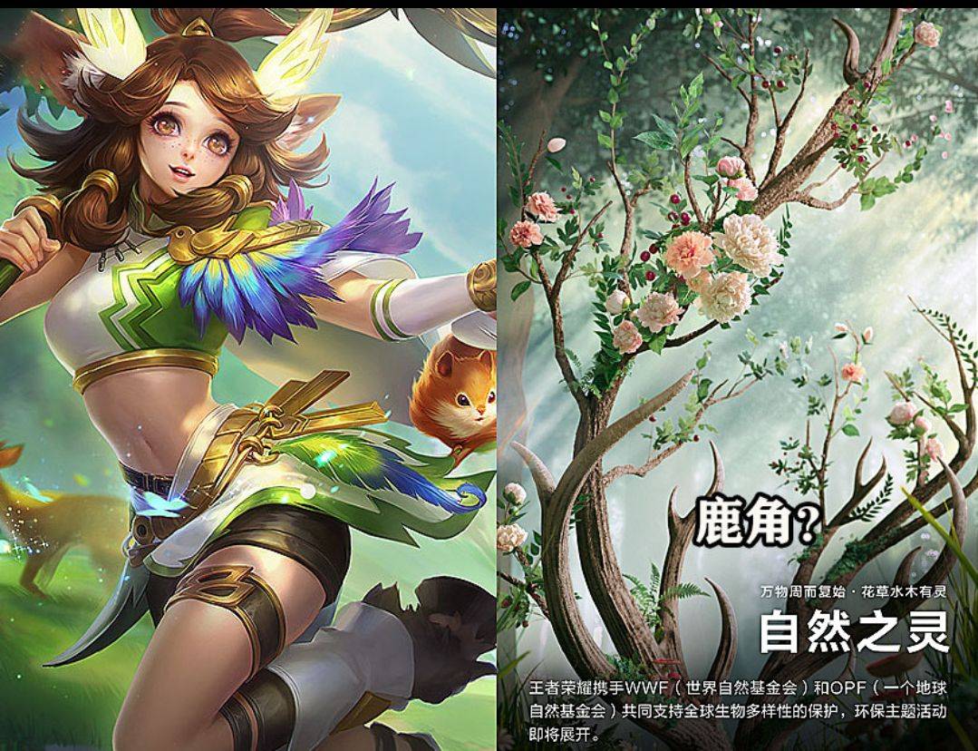 巴宝莉联动还未上架瑶瑶又出新皮肤也是联动一鹿二联动真牛