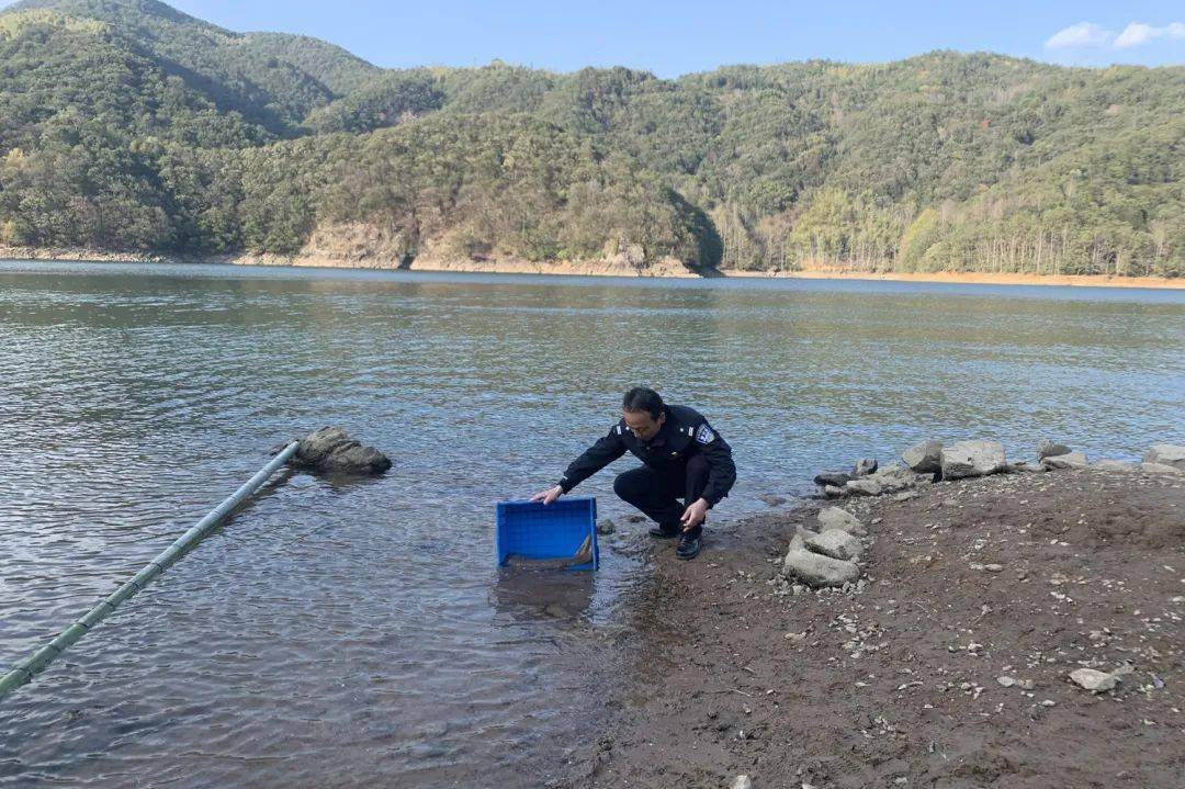 緱城說法張網捕鳥使不得身陷囹圄悔當初