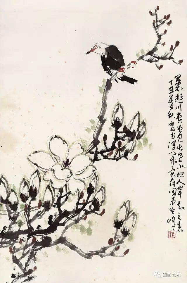 早春之花,名家玉兰,大美