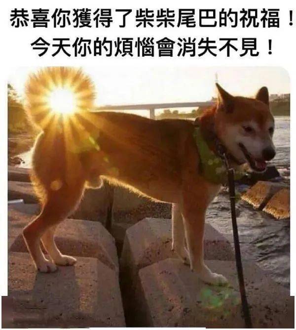 c8534f6246184a3f82d7efeed2ee0609.jpeg