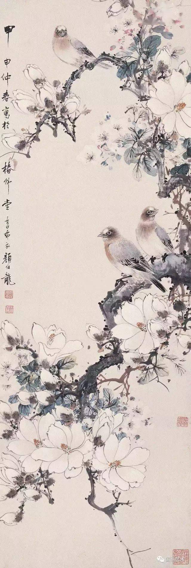 玉兰花作品欣赏图片